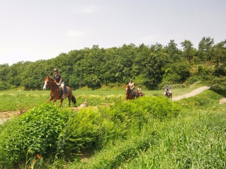 Ride, Spa and Wine in Tuscany 